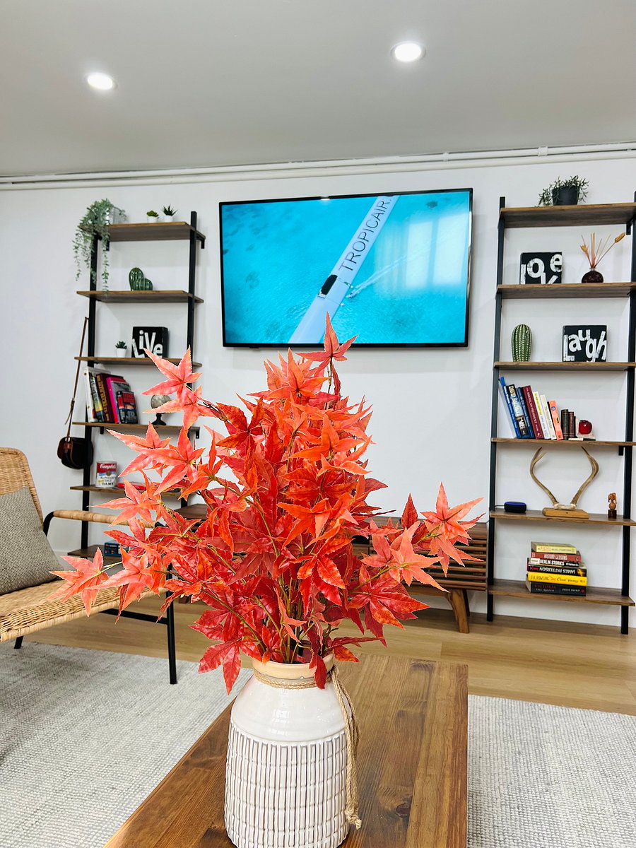 Living room with High Definition TV