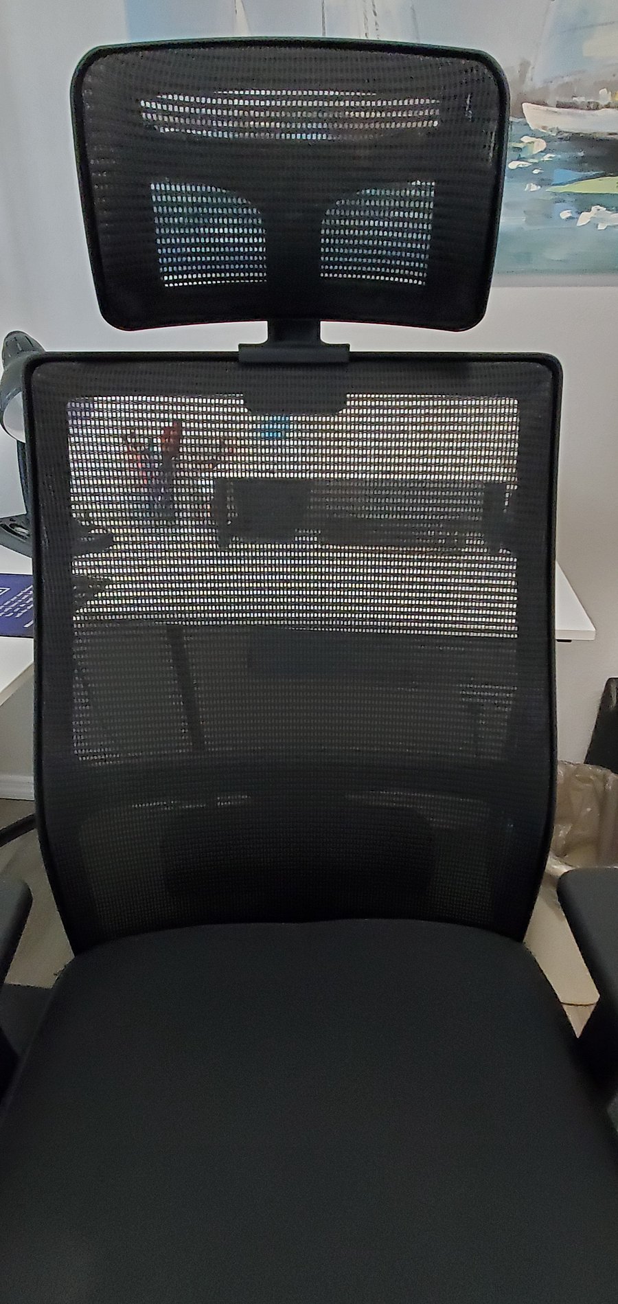 Ergonomic adjustable chair with lumbar/head/neck support, 2 arms