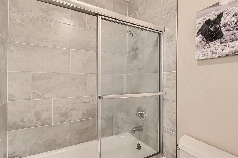 Master Bath Shower