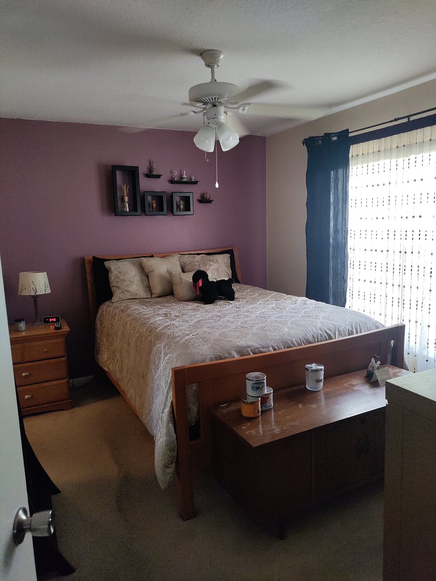 Furnished Finder property 554061_1 photo 8