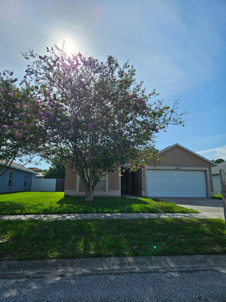 Furnished Finder property 554061_1 photo 16