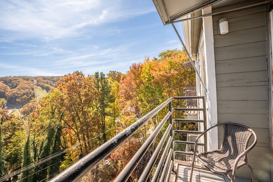 Furnished Finder property 554065_1 photo 21