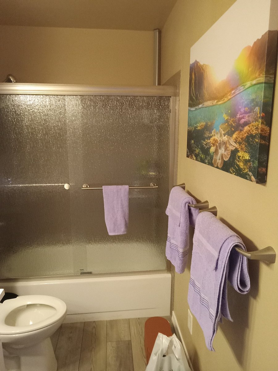 Furnished Finder property 554132_1 photo 15