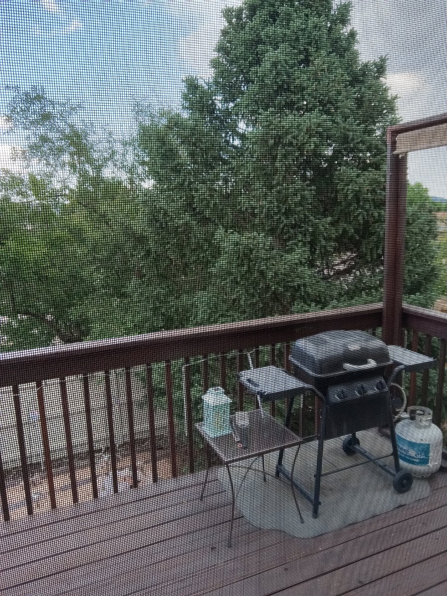 Furnished Finder property 554132_1 photo 13