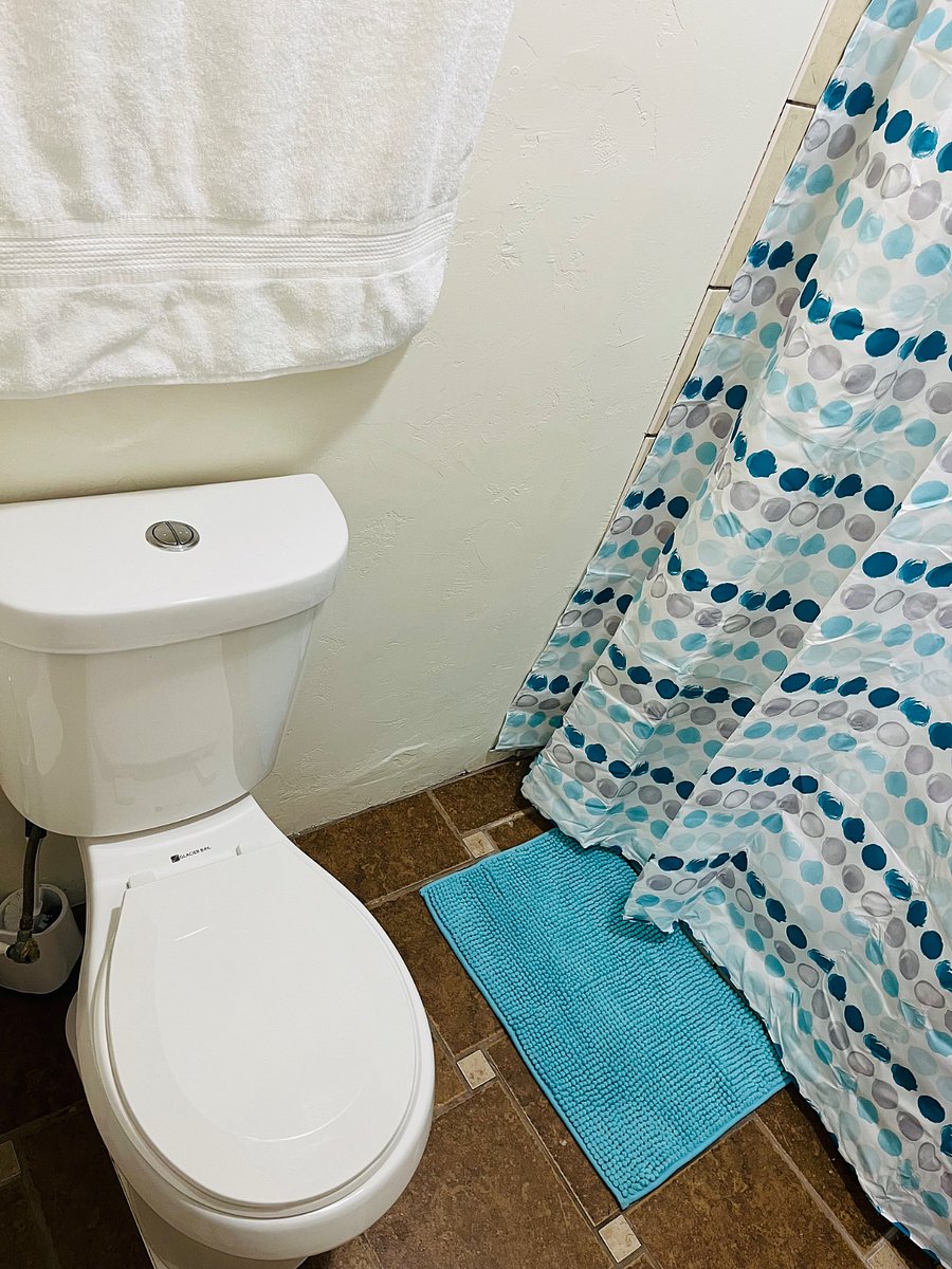 Furnished Finder property 554179_2 photo 15