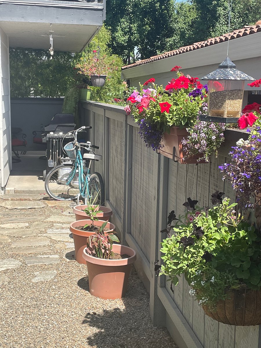 Patio Area - Great Privacy