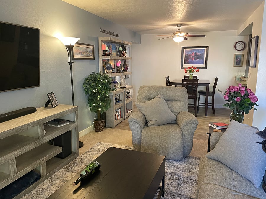 Living & Dining Area