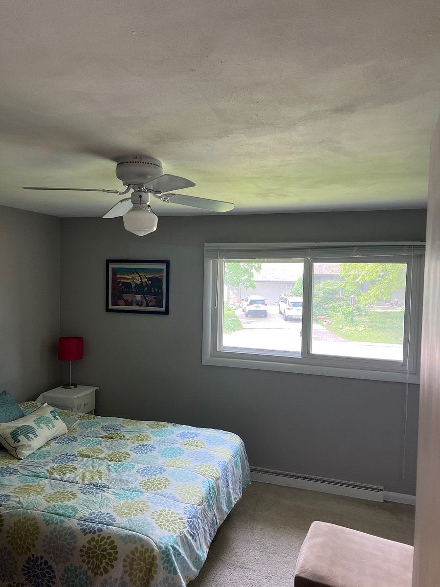 Furnished Finder property 554276_1 photo 7