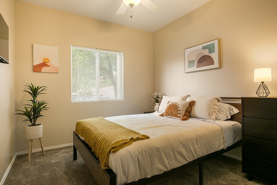 Furnished Finder property 554286_1 photo 12