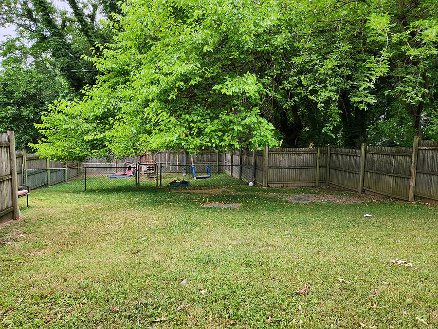 Furnished Finder property 554302_1 photo 7