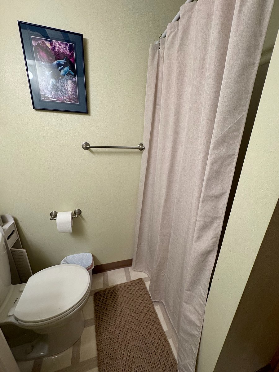 Furnished Finder property 554322_1 photo 15
