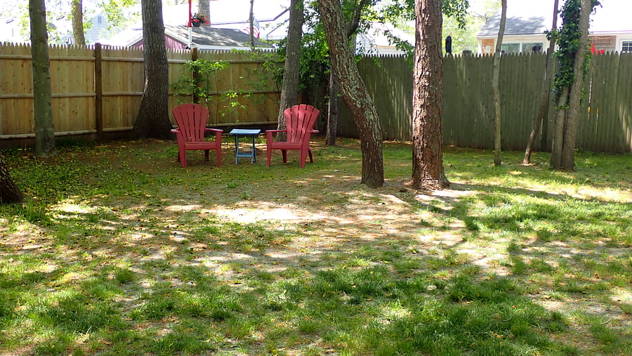 Large Back Yard