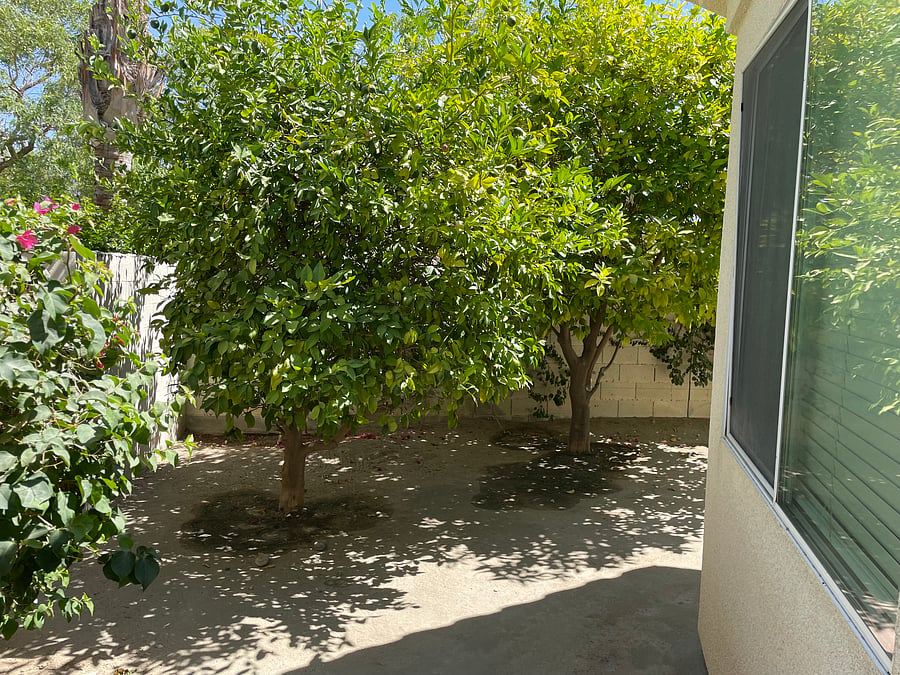 Furnished Finder property 554361_1 photo 56