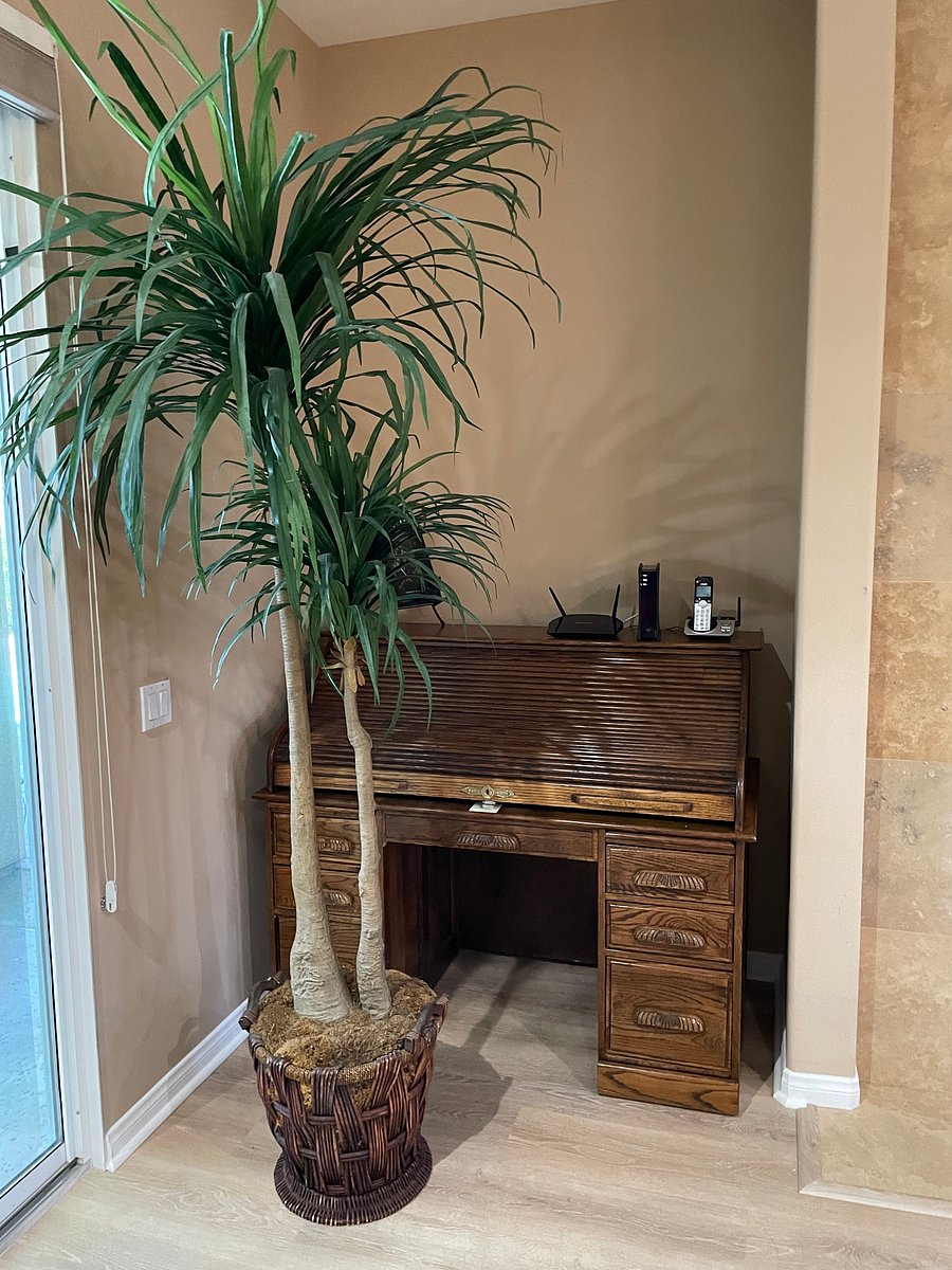 Furnished Finder property 554361_1 photo 30