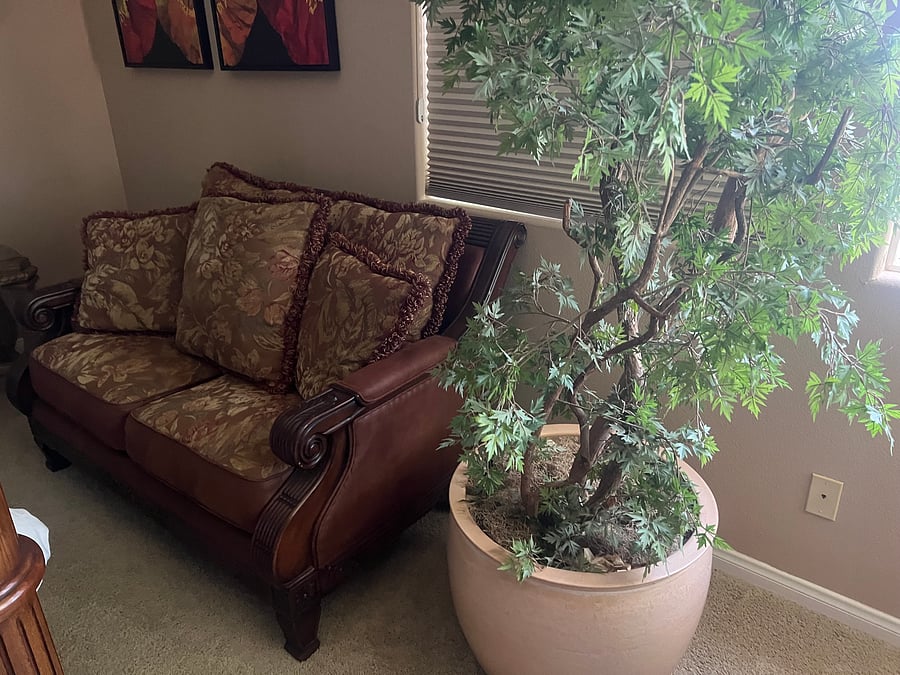 Furnished Finder property 554361_1 photo 36