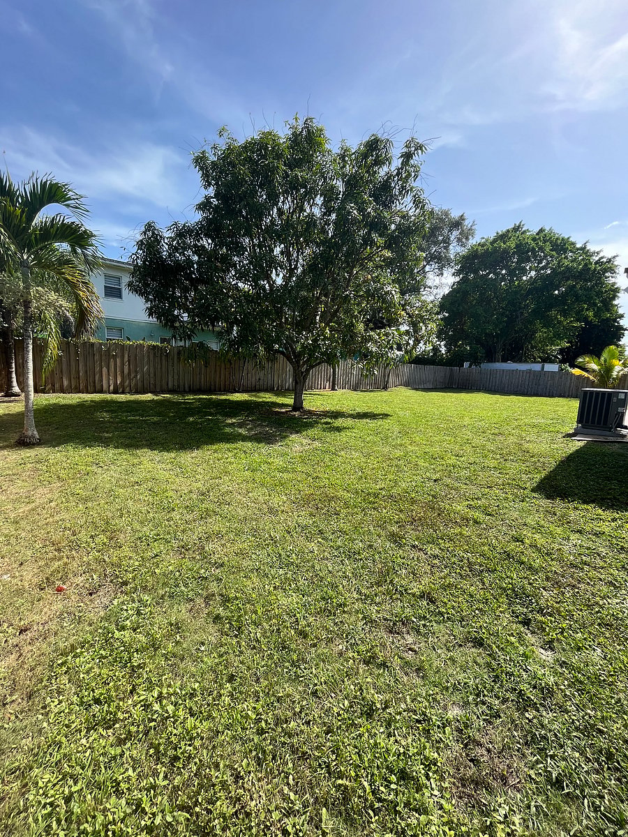 Furnished Finder property 554450_1 photo 23