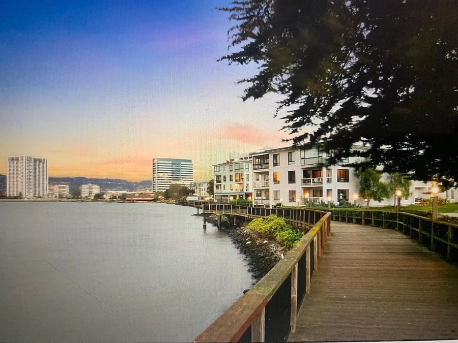 Furnished Finder property 554466_1 photo 31