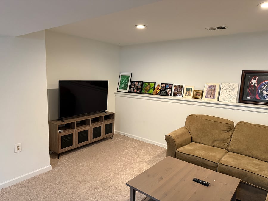 Downstairs TV room