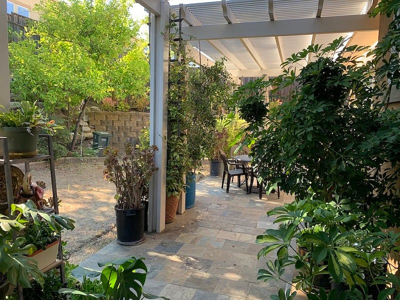 Back patio