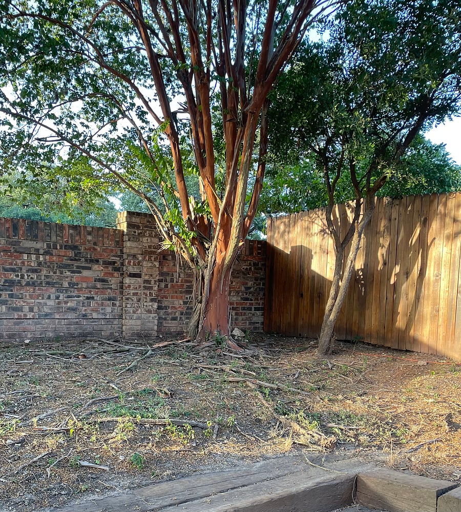 Fenced in Backyard