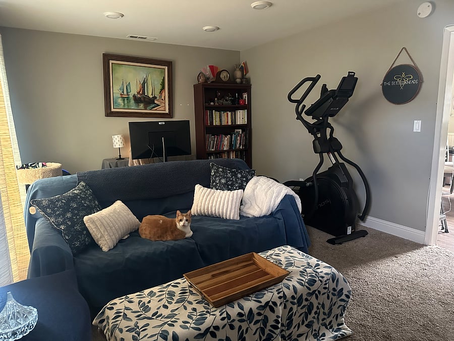 Furnished Finder property 554752_1 photo 9