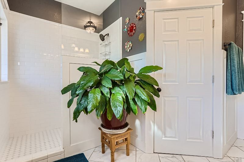 Furnished Finder property 555369_1 photo 16