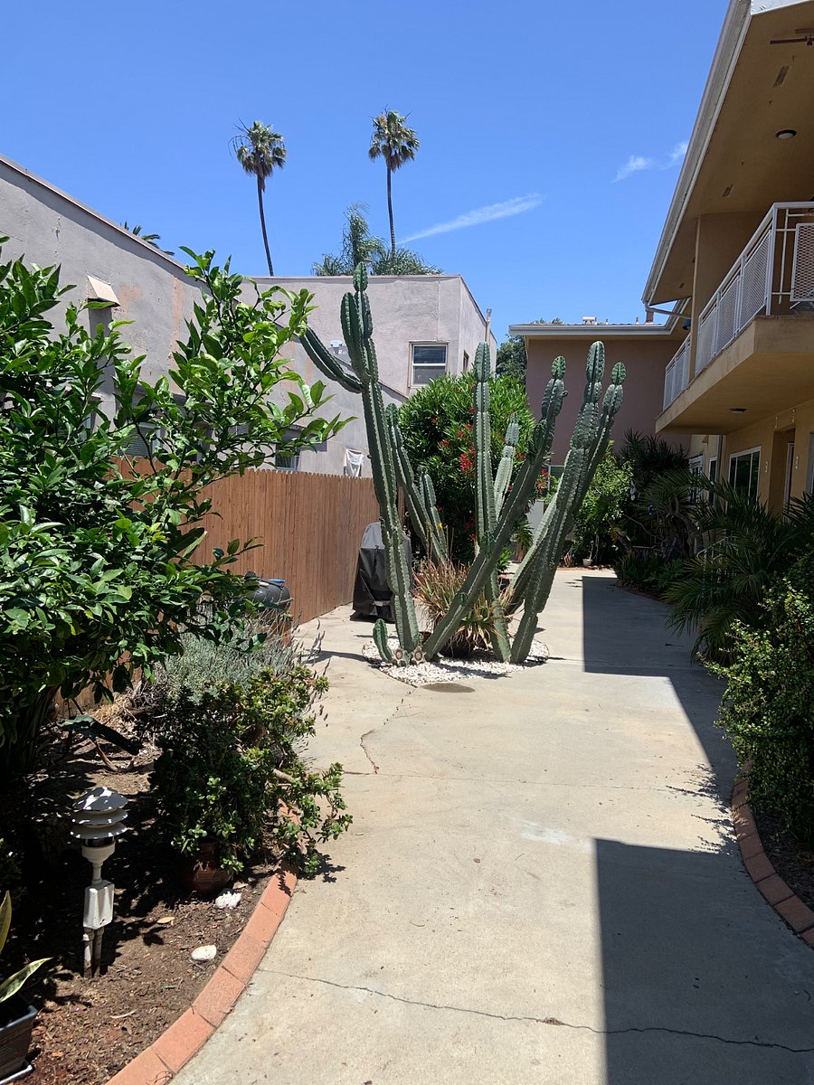 Furnished Finder property 555457_1 photo 8