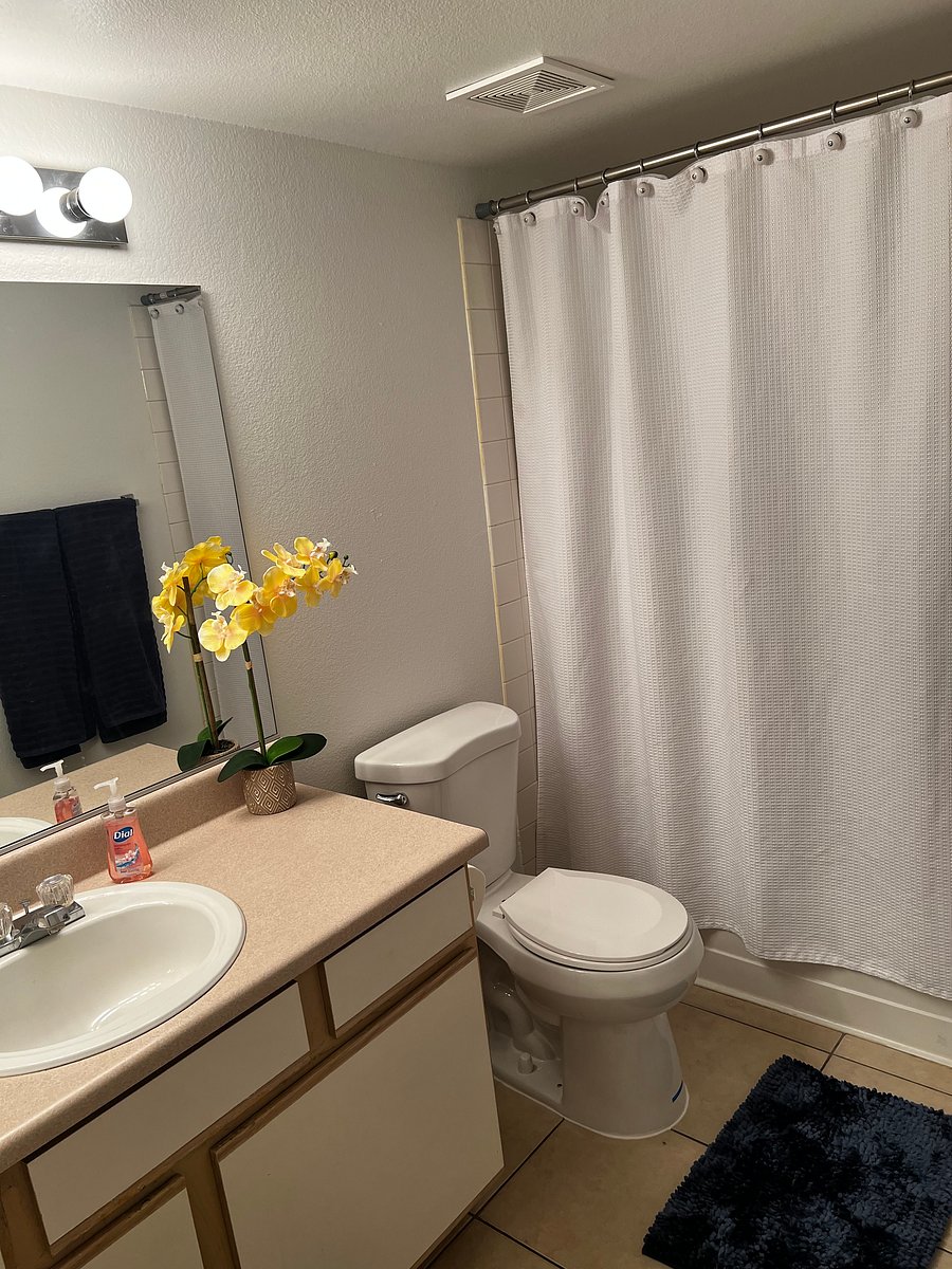 Furnished Finder property 555532_1 photo 18
