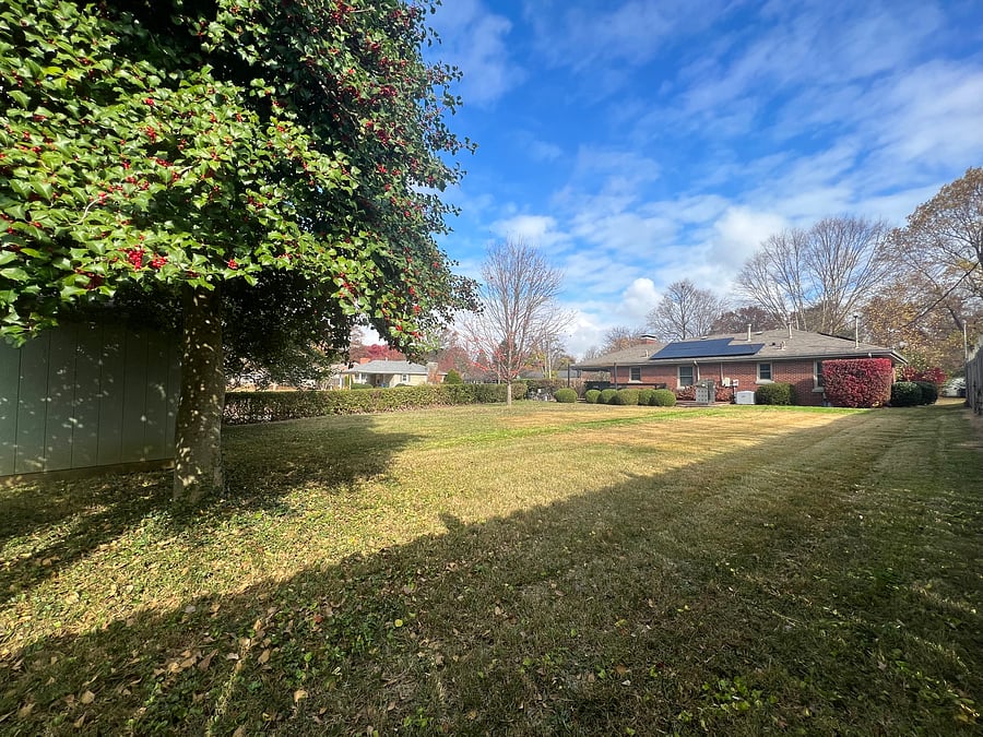 Furnished Finder property 555542_1 photo 19