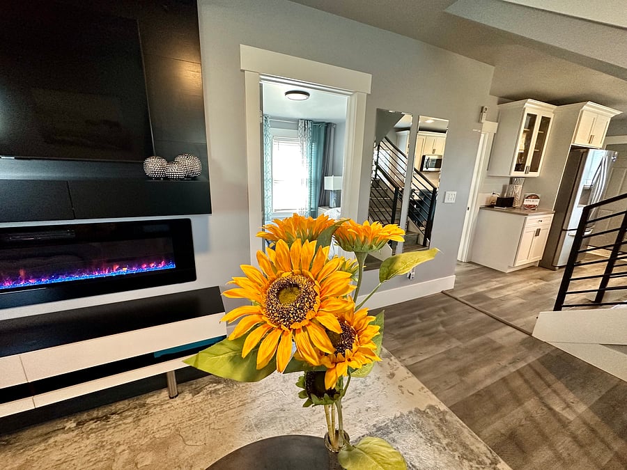 Living Room Tv and Fire Place