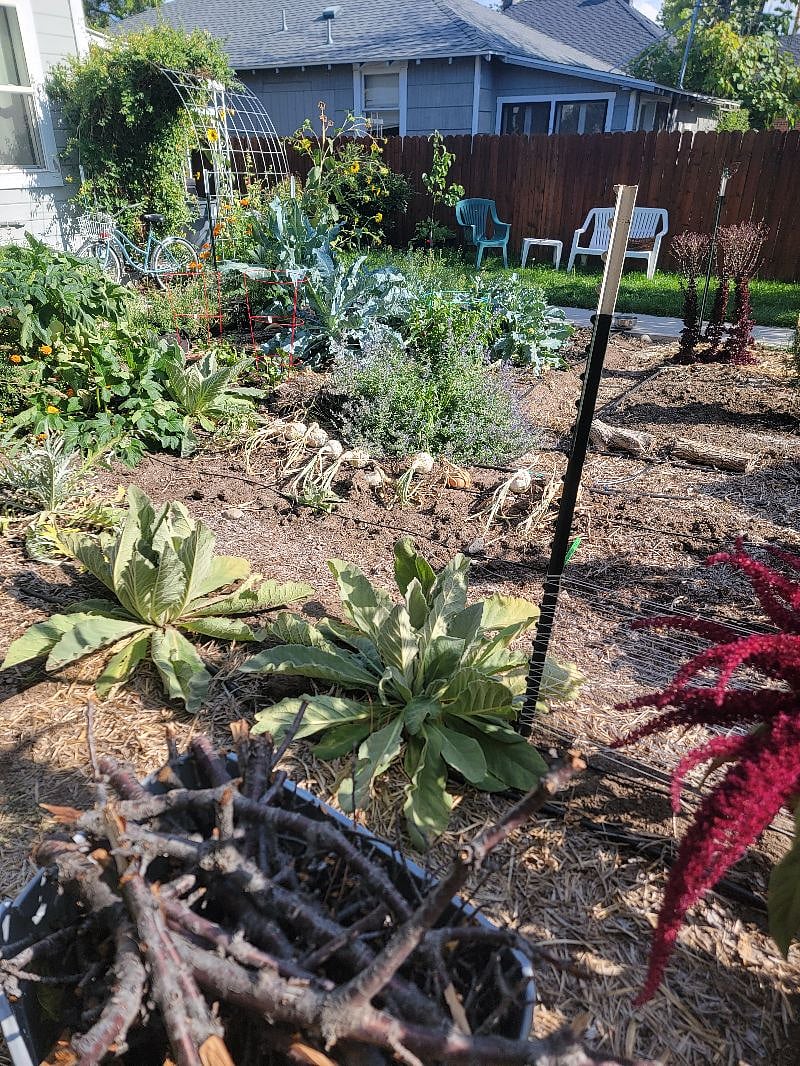 Producing organic garden