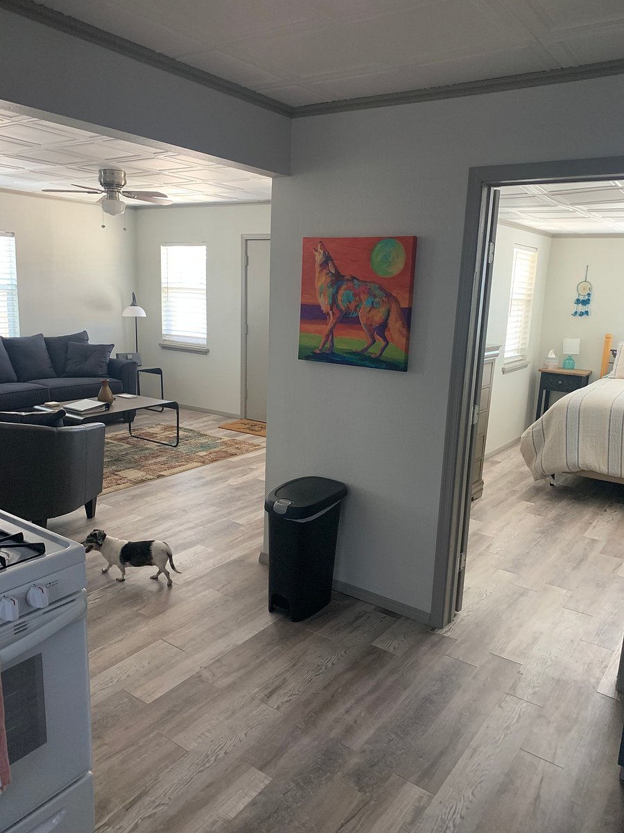 Furnished Finder property 555687_1 photo 9
