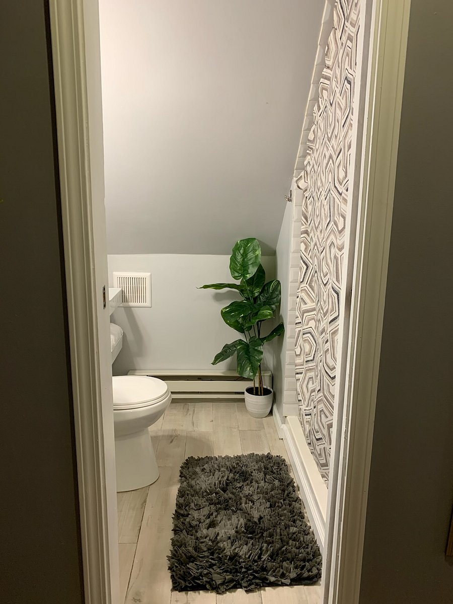 Furnished Finder property 555714_1 photo 38