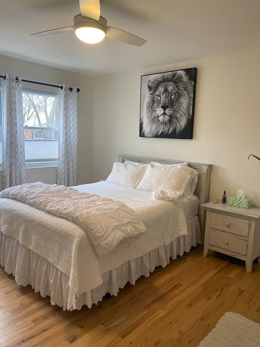 Furnished Finder property 555821_1 photo 4