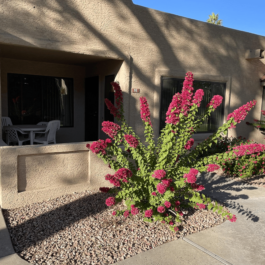 Front of condo w/patio