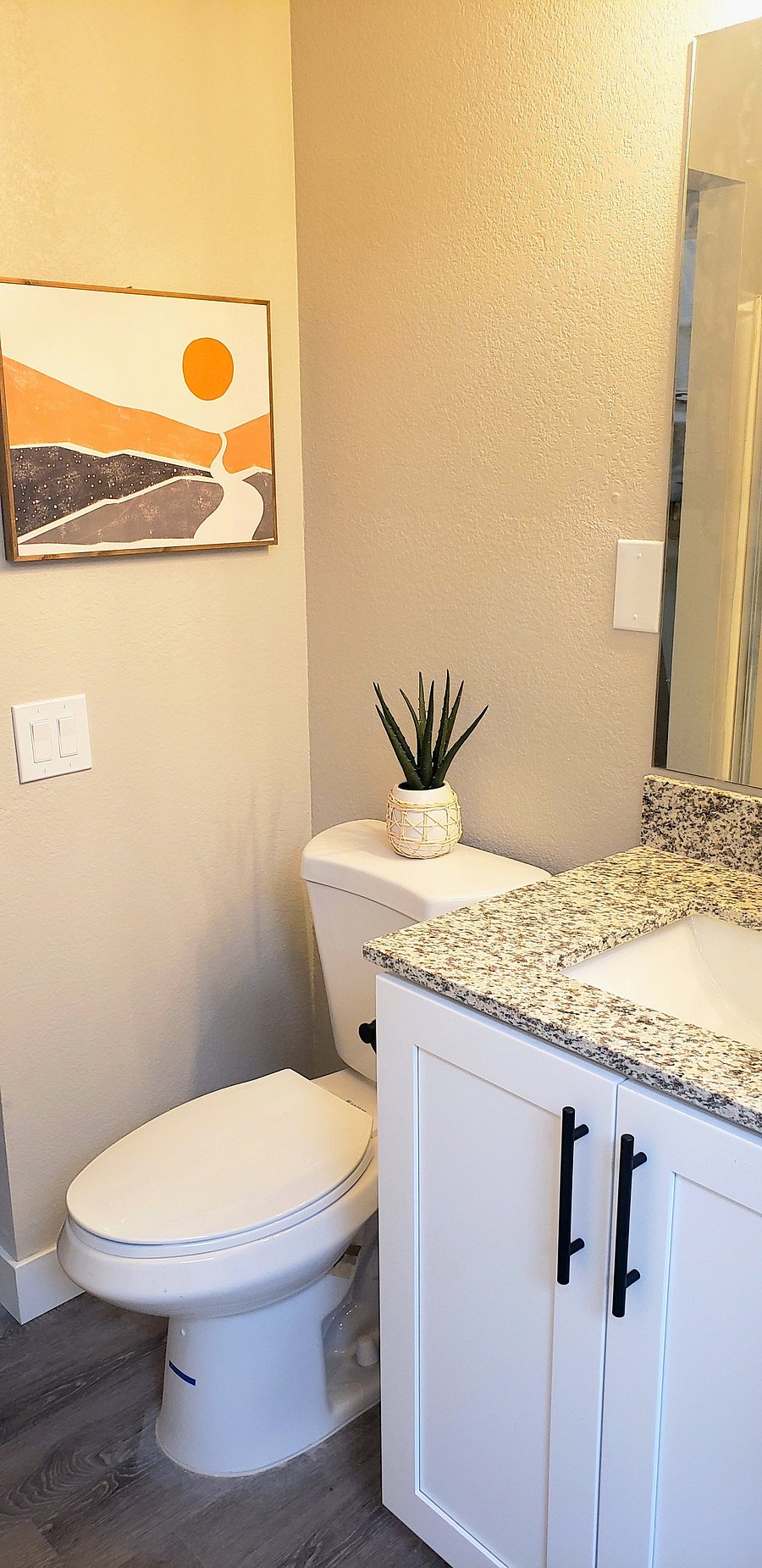 Primary Bathroom w/walk in shower. New granite counter top vanity and toilet 