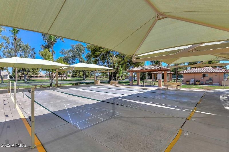 Shuffleboard