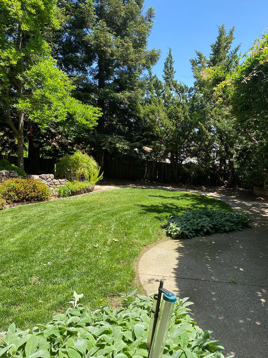 Furnished Finder property 556181_1 photo 10