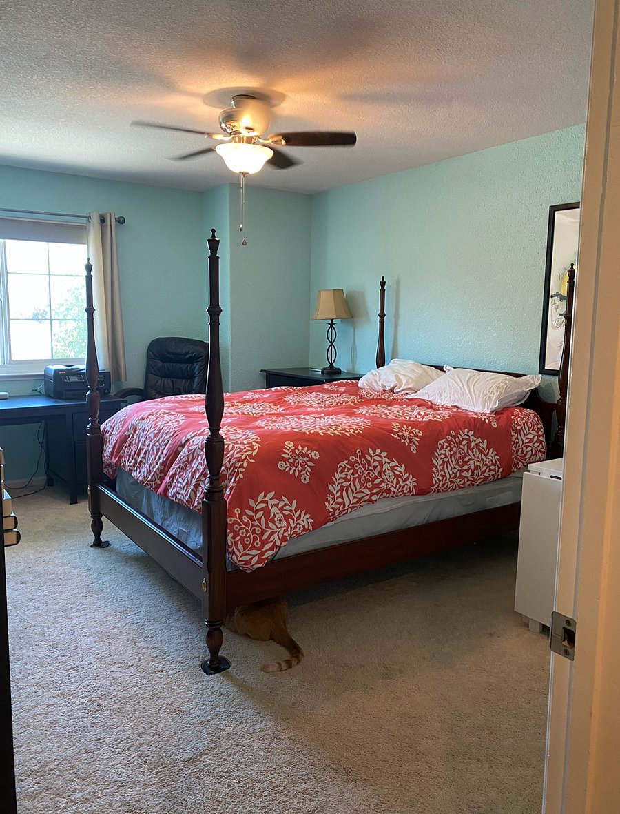 Furnished Finder property 556181_1 photo 11