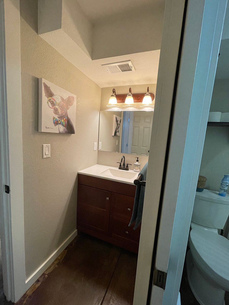 Furnished Finder property 556221_1 photo 15