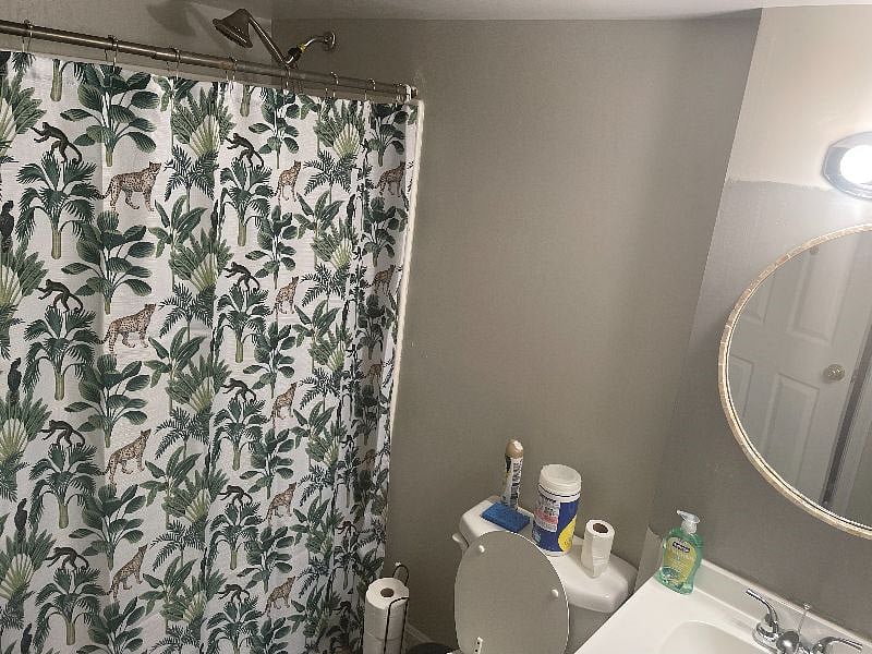 Furnished Finder property 556225_1 photo 14