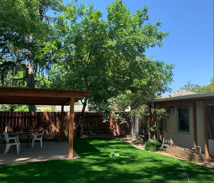 Furnished Finder property 556383_1 photo 16