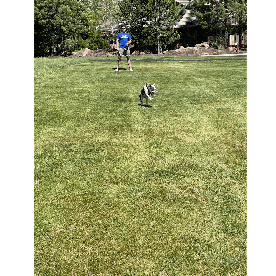 Your furry friend will love this spacious off-leash area just steps from the townhome the perfect spot for dogs to run free and owners to soak up the sunshine!