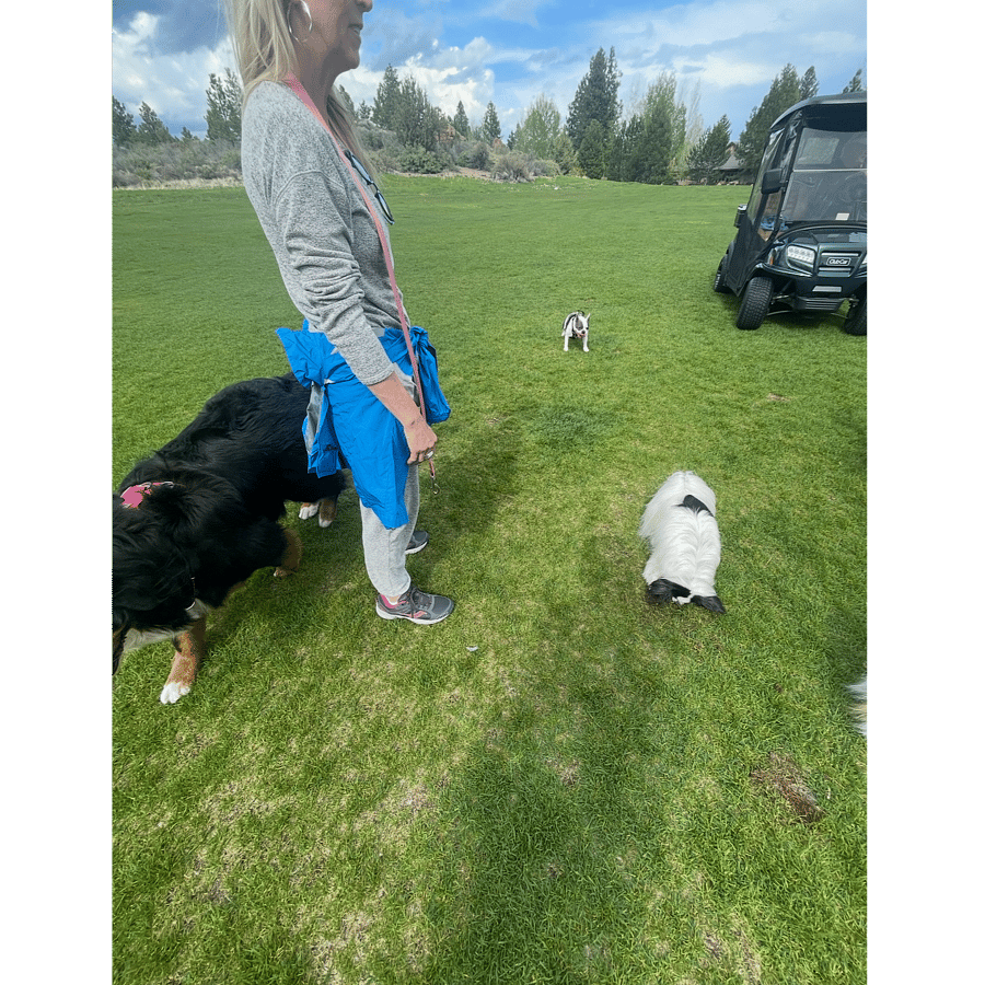 Pet friendly - dog area adjacent from our property where your dog and you can meet others!