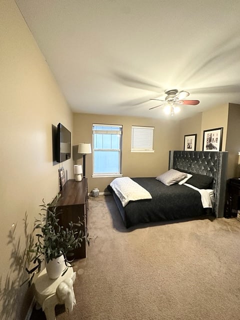 Furnished Finder property 556474_1 photo 1