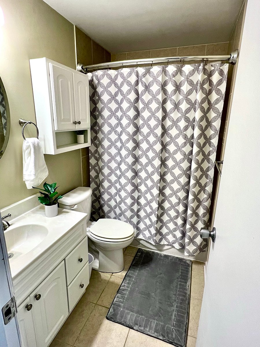 Furnished Finder property 556529_1 photo 15