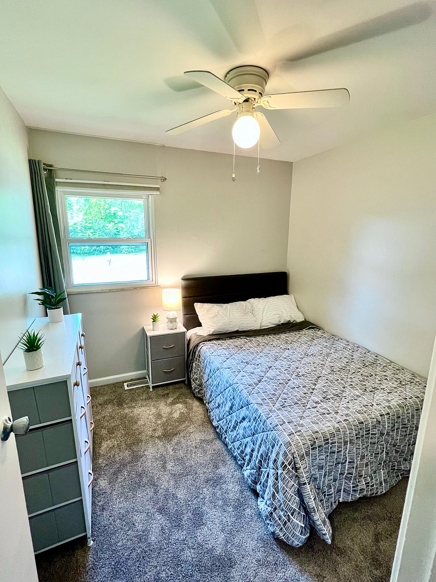 Furnished Finder property 556529_1 photo 9