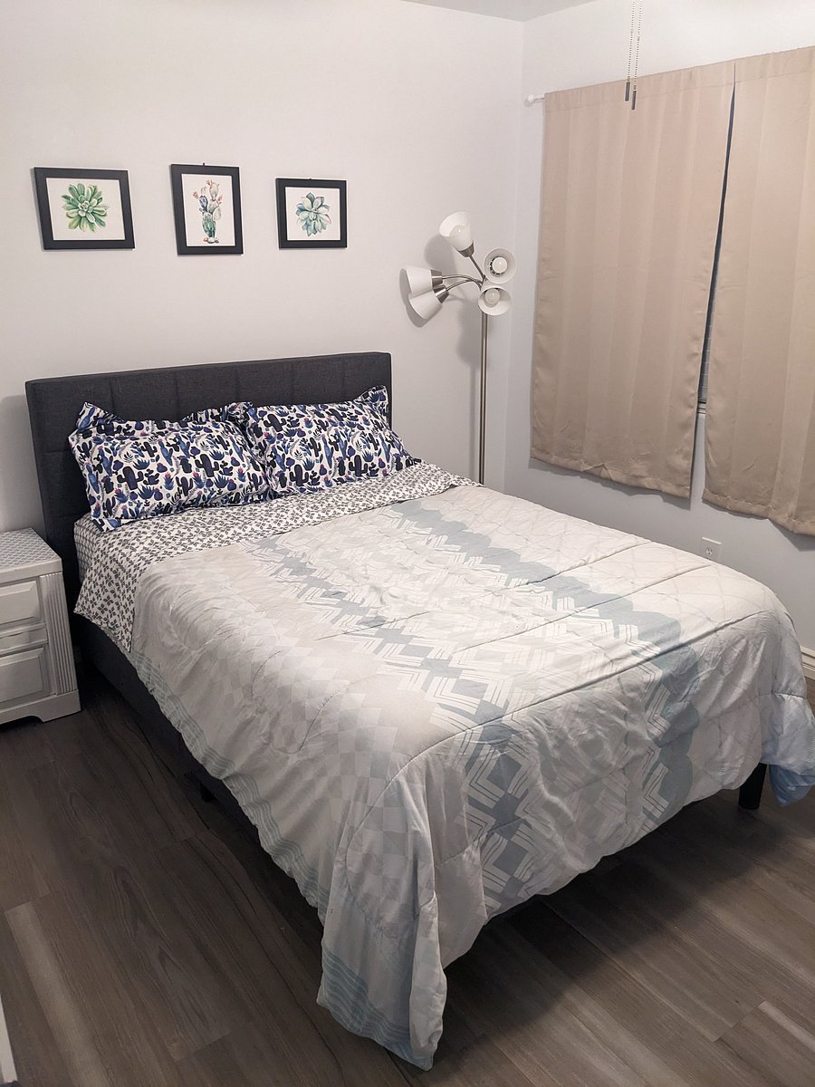 Furnished Finder property 556593_1 photo 5