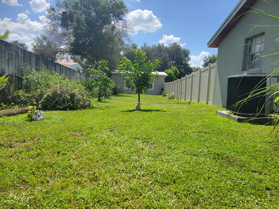 Furnished Finder property 556598_1 photo 24