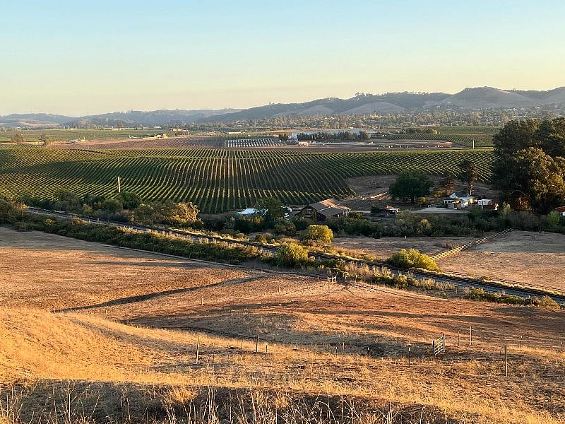 Beautiful Edna Valley Wineries